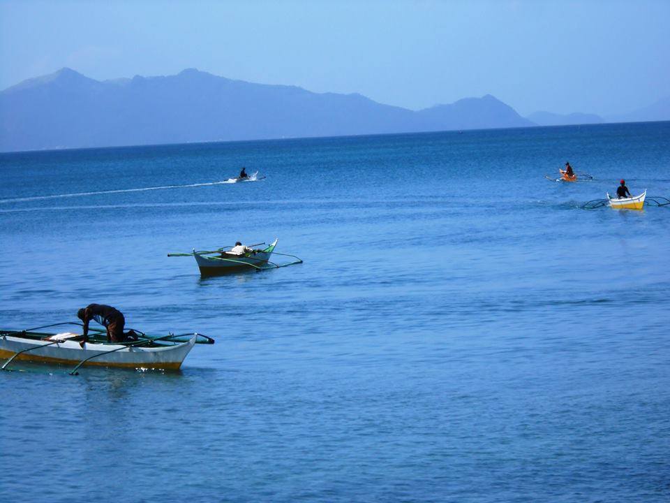 CALBAYOG GOV'T. ACTS ON DEPLETING SAMAR SEA RESOURCES