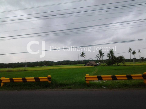 IT'S THE LACK OF PATRIOTS!