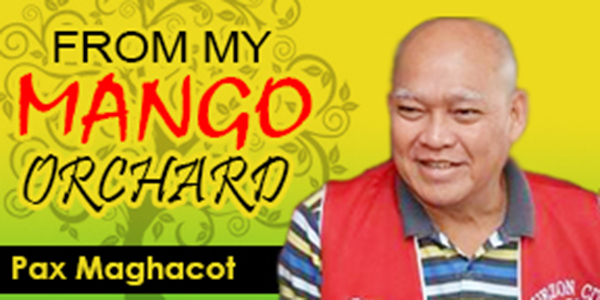 THE MAN WHO POPULARIZED THE CHRISTMAS CRIB