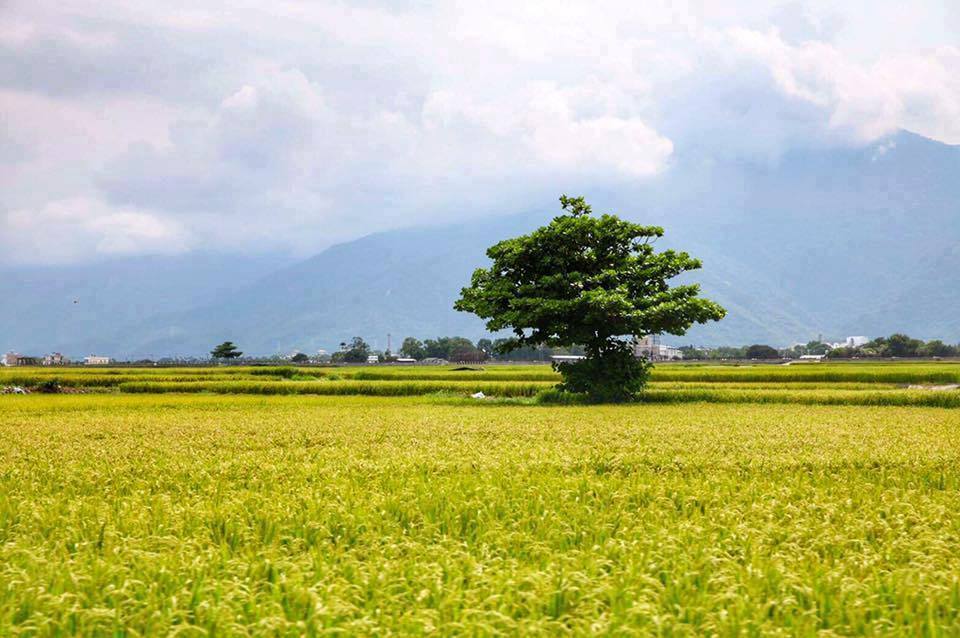 DA’S SAAD PROGRAM: A PROMISE FULFILLED