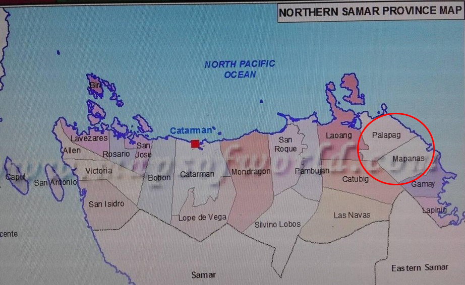 NPA RECRUITS CHILDREN AFTER SERIES OF CLASHES WITH GOV’T SOLDIERS AROUND EAST VISAYAS<br><small>12-year-Old-Boy-NPA-Courier Rescued; Gov’t. Intel Ops Beefed-up</small>