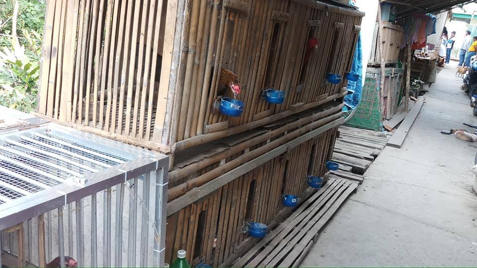 R.I.V.E.R.s FOR LIFE UPDATE: COMPOSITE TEAM ISSUED NOTICES OF VIOLATIONS