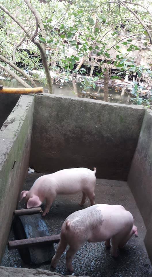 R.I.V.E.R.s FOR LIFE UPDATE: COMPOSITE TEAM ISSUED NOTICES OF VIOLATIONS