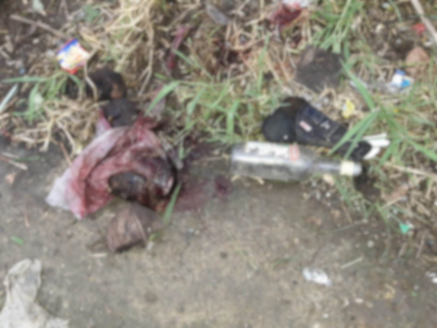 VILLAGE COUNCILOR DIES IN AMBUSH TURNED SHOOT-OUT; ONE ATTACKER KILLED, ANOTHER ONE WOUNDED
