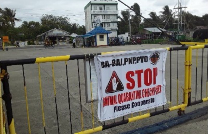 SECURITY MEASURES AGAINST AFRICAN SWINE FEVER (ASF) TIGHTENS IN NORTH SAMAR