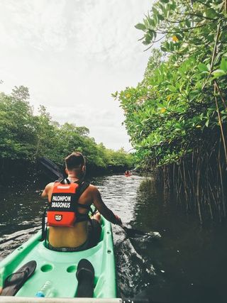 EV MEDIA ADOPTS MANGROVE REFORESTATION IN PALOMPON