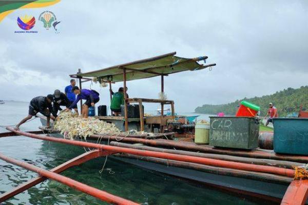 PCG, BFAR Operation Nets Two Illegal Fishers