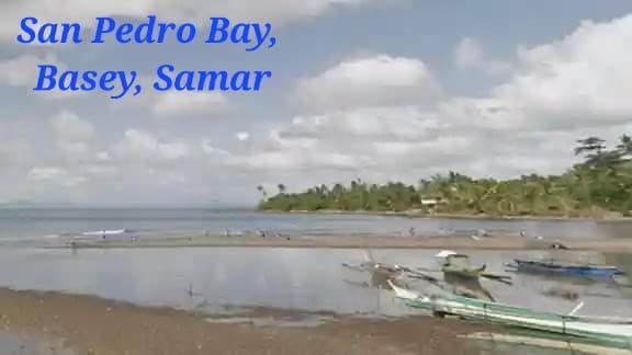 Red Tide Is Back in Two Eastern Visayas Bays