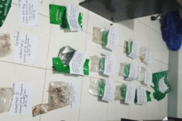 It's P57-M Shabu! Not Tawas!