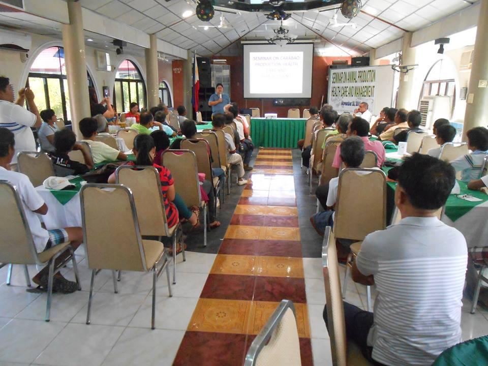 City Gov't. Acts to Salvage Dwindling Carabao Population