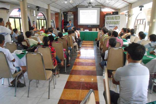 City Gov't. Acts to Salvage Dwindling Carabao Population