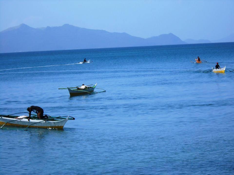 Calbayog Gov't. Acts on Depleting Samar Sea Resources