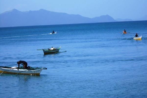 Calbayog Gov't. Acts on Depleting Samar Sea Resources
