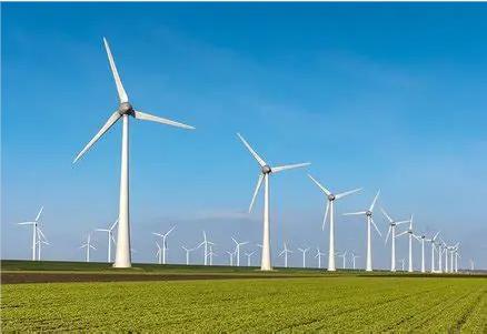 Renewable Energy Projects Required to Uphold Strict Environmental Rules