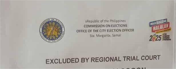 Over 600 Voters in Sta. Margarita, Samar Excluded from Voters' Masterlist