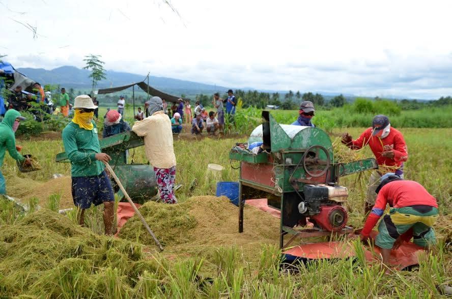 16 Ormoc Agrarian Beneficiaries Celebrate First Harvest
