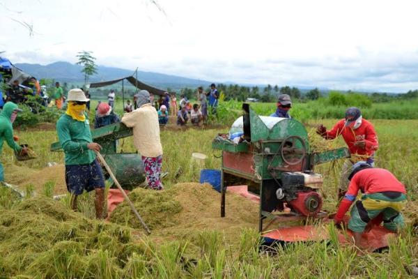 16 Ormoc Agrarian Beneficiaries Celebrate First Harvest