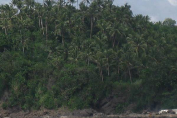 National Moratorium on Coco Trees Cutting Signed