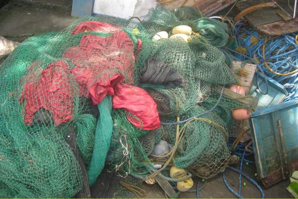 15 Illegal Fishers Jailed, Face Charges for Violation; 4 Fishing Boats, Gears, Catch Confiscated