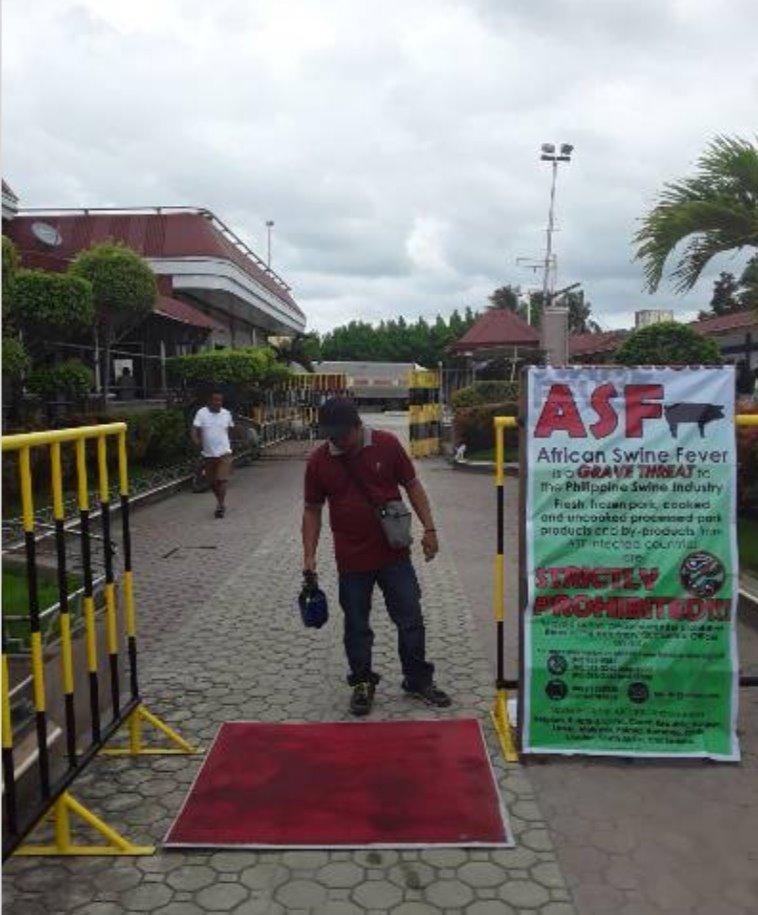 Security Measures Against African Swine Fever (ASF) Tightens in North Samar