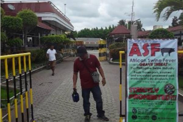 Security Measures Against African Swine Fever (ASF) Tightens in North Samar